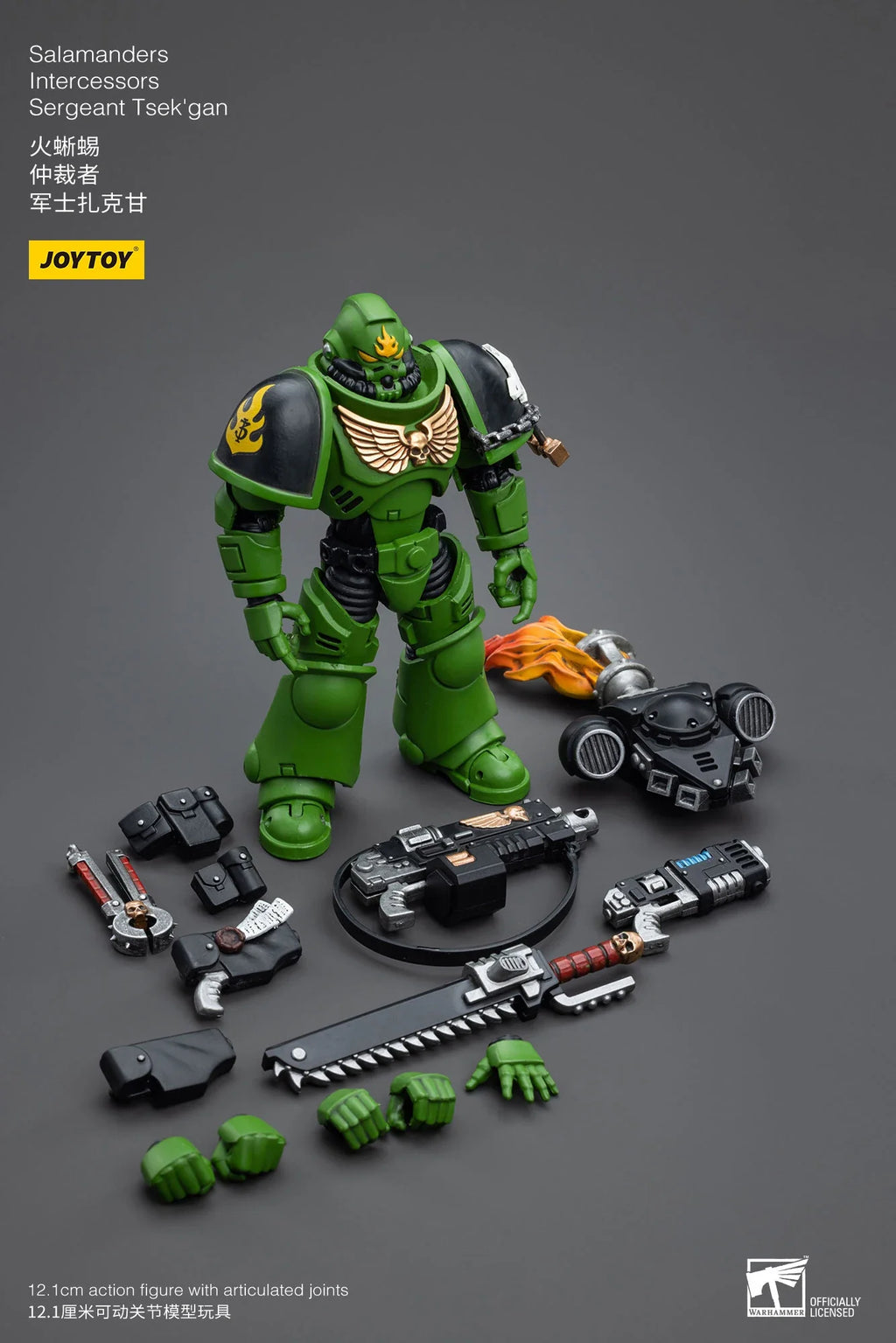 JOYTOY 40K 1/18 Salamanders Intercessors Sergeant Krajax Tsek'gan Brother Haecule Tol'vak Actionfiguren Modell Geschenk für Sammler
