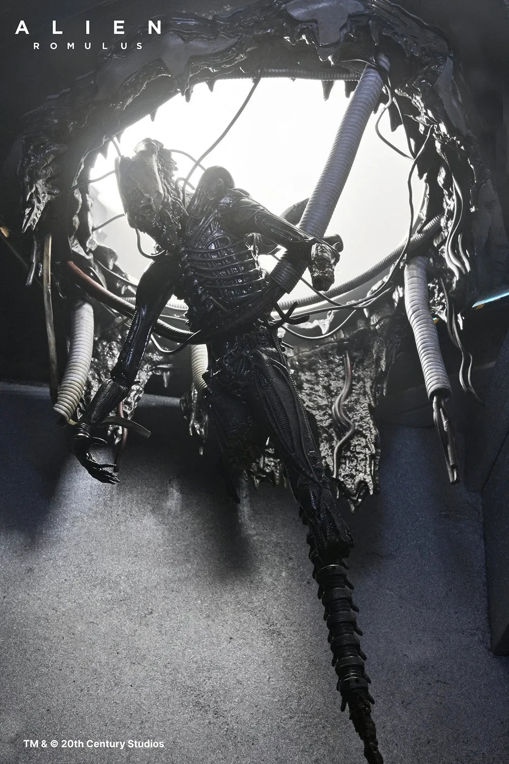 NECA 51743 Toys Alien: Romulus Action Figure Deluxe Suspended Lab Xenomorph XX121 Original Model Collection Doll Decoration Gift