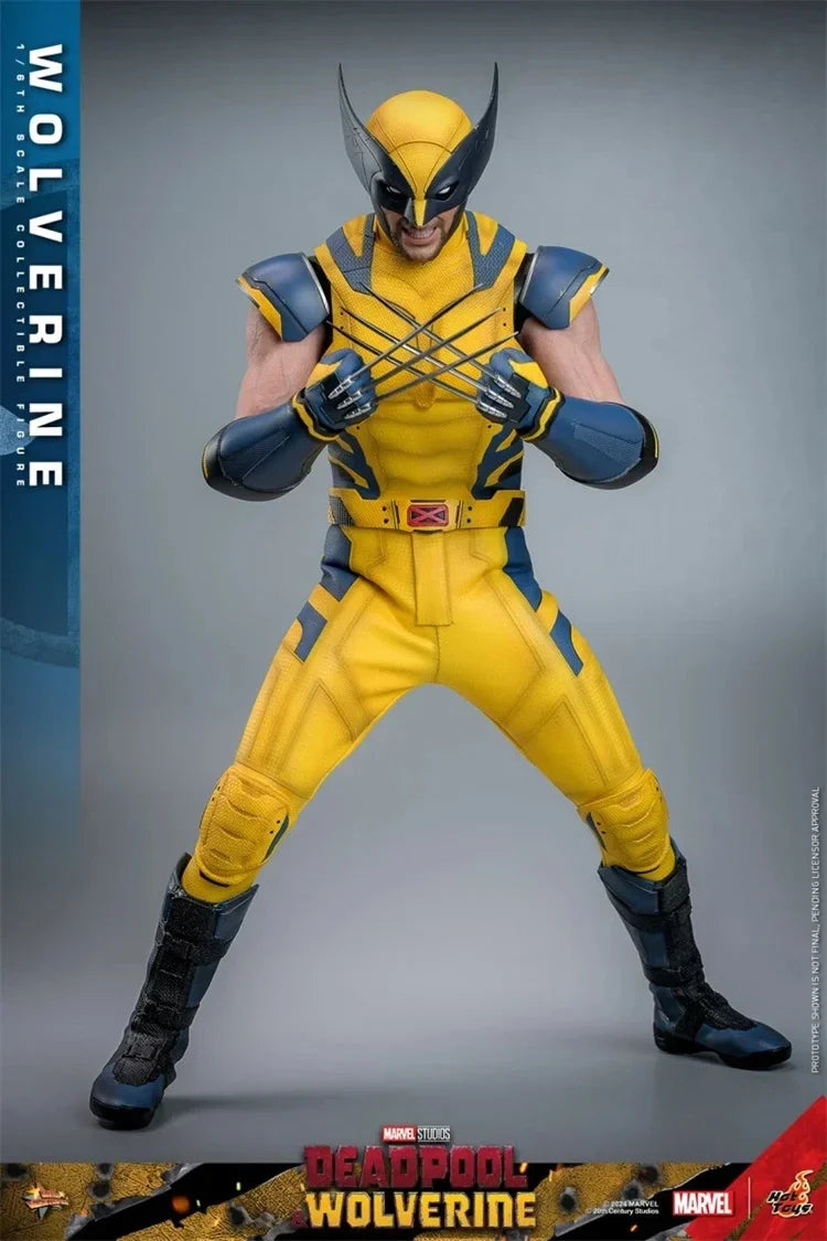 In Stock Hot Toys MMS753/754 1/6 Scale Male Deadpool and Wolverine Normal/Luxury Edition Full Set 12in Action Figure Model