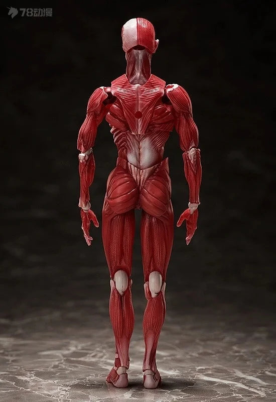 Max Factory Genuine Figma Movable Doll Series Figma SP Version Sp-142 Manikin Movable Model Collection Boy's Gift Ornaments