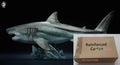 Auf Lager W-DRAGON Megalodon Modell 1/35 45cm Statische Statue Carcharocles Megalodon Paläontologie Unterseeischer Gigant