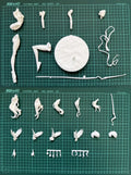 Resin Figure Kit 1/6 Asuka Flying bird Unpainted Garage Resin Kit Model GK