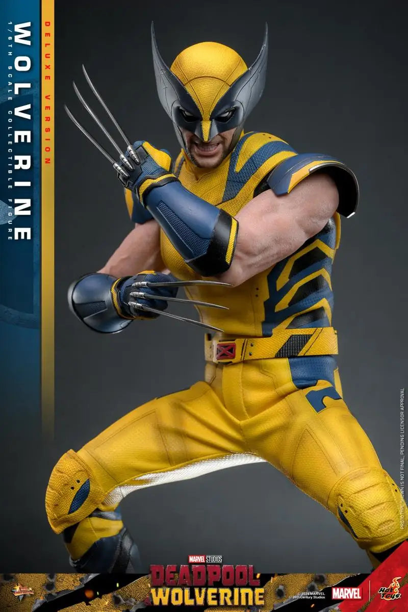 In Stock HOT TOYS HT 1/6 MMS753/754 Deadpool and Wolverine Standard/Deluxe Edition Full Set 12in Collectible Action Figure Model