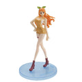 17cm One Piece Figures Nami Figurine Pvc Statue Manga Model Doll Collectible Room Decoration Gifts