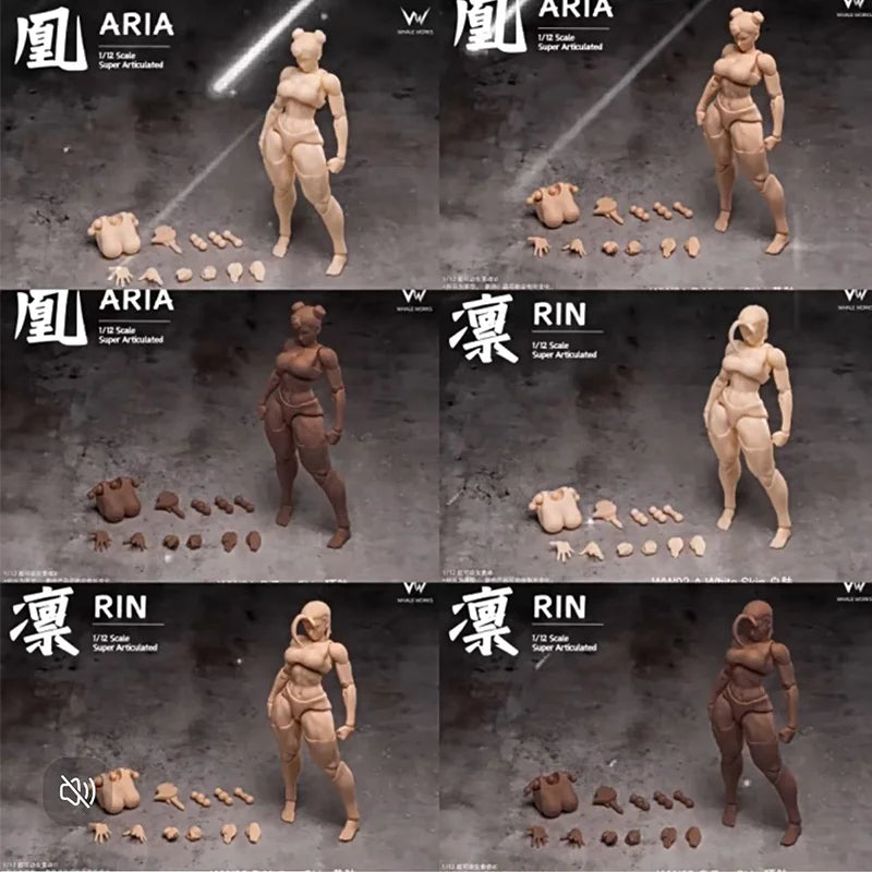 Auf Lager Ww01 Ww02 1/12 Maßstab weibliche Soldatin Aria Super 3 Farben flexibler Körper bewegliche Augen Version für 6-Zoll-Actionfigur-Spielzeug