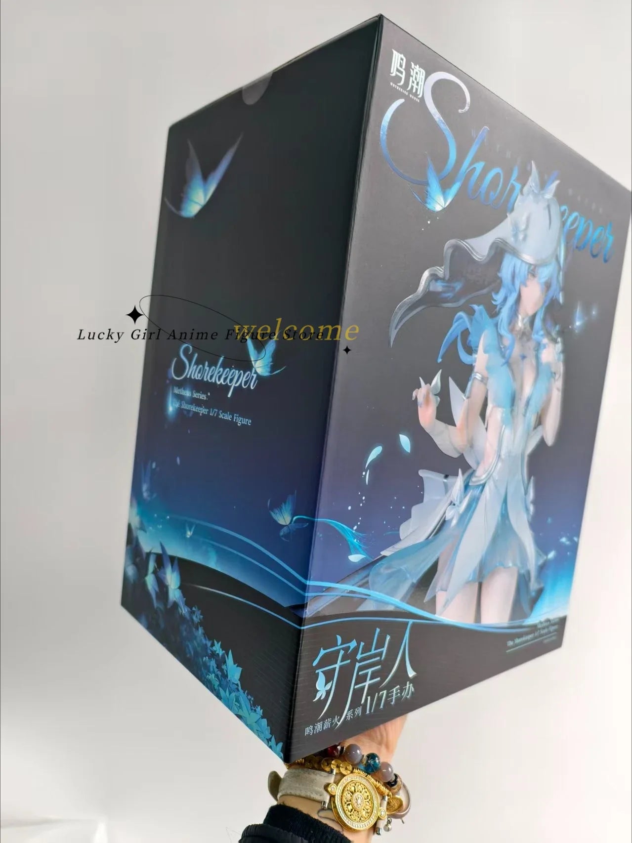 In Stock Original PPDF Torch Series Wuthering Waves The Guardian 28cm Anime Figure Ornaments Toys 1/7 Model
