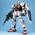 New Gaogao High Quality White Rabbit Model Kit Assembly Version Color Box Reissue Pg 1/60 Color Scheme Collectible Action Figure
