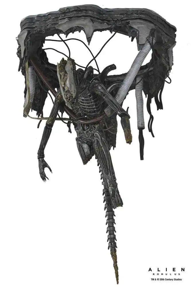 NECA 51743 Toys Alien: Romulus Action Figure Deluxe Suspended Lab Xenomorph XX121 Original Anime Collection Doll Decoration