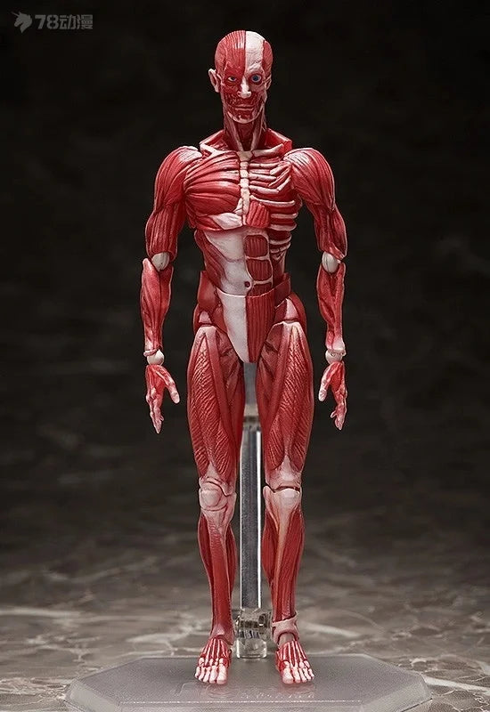 Max Factory Genuine Figma Movable Doll Series Figma SP Version Sp-142 Manikin Movable Model Collection Boy's Gift Ornaments