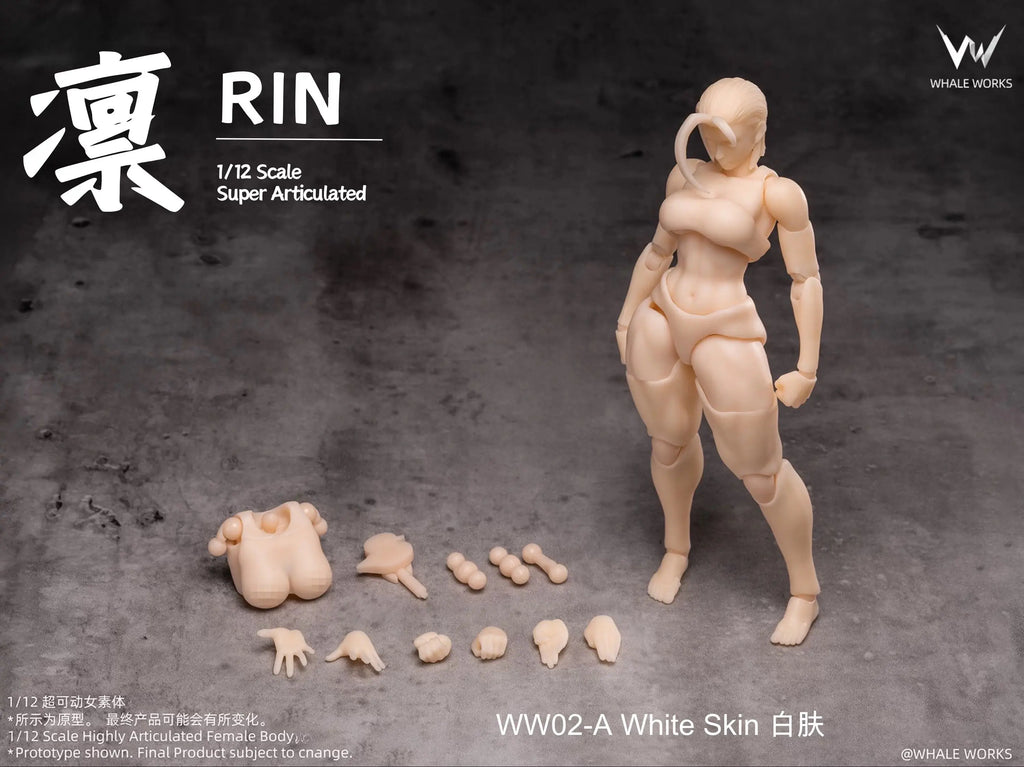 Auf Lager Ww01 Ww02 1/12 Maßstab weibliche Soldatin Aria Super 3 Farben flexibler Körper bewegliche Augen Version für 6-Zoll-Actionfigur-Spielzeug