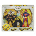 [In-Stock] Hasbro Marvel Legends Series Storm und Thunderbird 2er-Pack 15cm Schöne Sammlerstück Anime Actionfigur Modell Spielzeug Geschenke