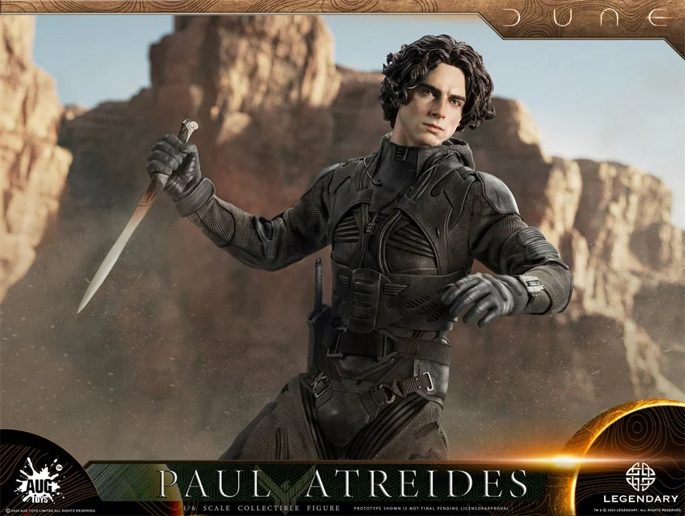 AUG TOYS DL003 1/6 Scale Paul Atreides Fiction Movie Handsome Boy Full Set 12" Action Figure Collectible Model Toys Gifts