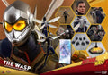 Original Hot Toys Marvel weibliche Soldatin Marvel Superhelden Filmcharaktere MMS498 Ant-Man 2 The Wasp Anime-Figuren Spielzeugmodelle