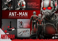 In Stock HT Hottoys MMS308 MMS497 MMS362 MMS690 Quantum Frenzy Ant Man 1.0 2.0 3.0 4.0 1/6 Action Figure Model Toys
