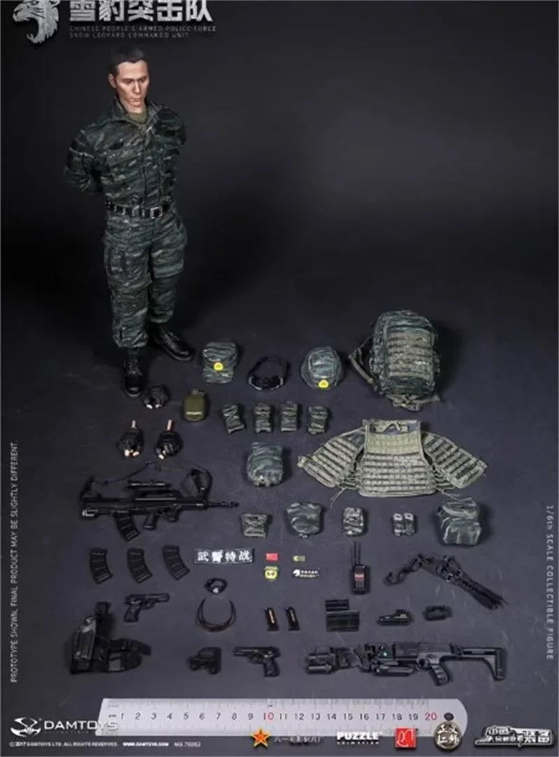 DAMTOYS 78052 1/6 Soldat Chinesische Bewaffnete Schneeleoparden-Kommando Vollausstattung 12'' Actionfigur Modell Spielzeug Auf Lager Sammlung