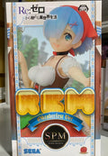 Original Anime Re:Zero Starting Life in Another World Ram Emilia Oktoberfest Ver. Action Figure Desktop Ornaments Model