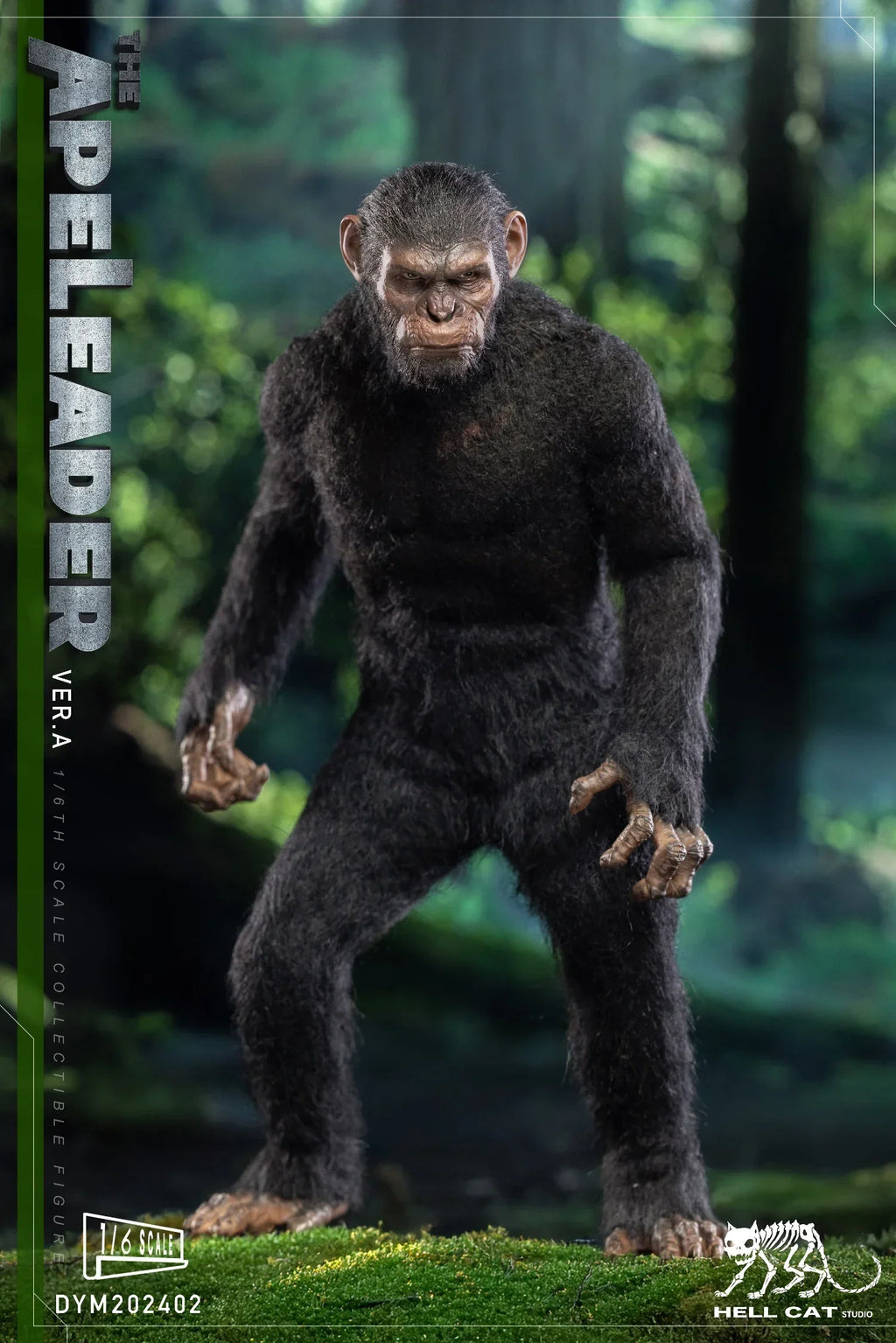 DYM202402A/B/C Caesar Rise of the Planet ApesThe 1/6 leader Hell Cat Ape Planet Model Action Figure Model Toy