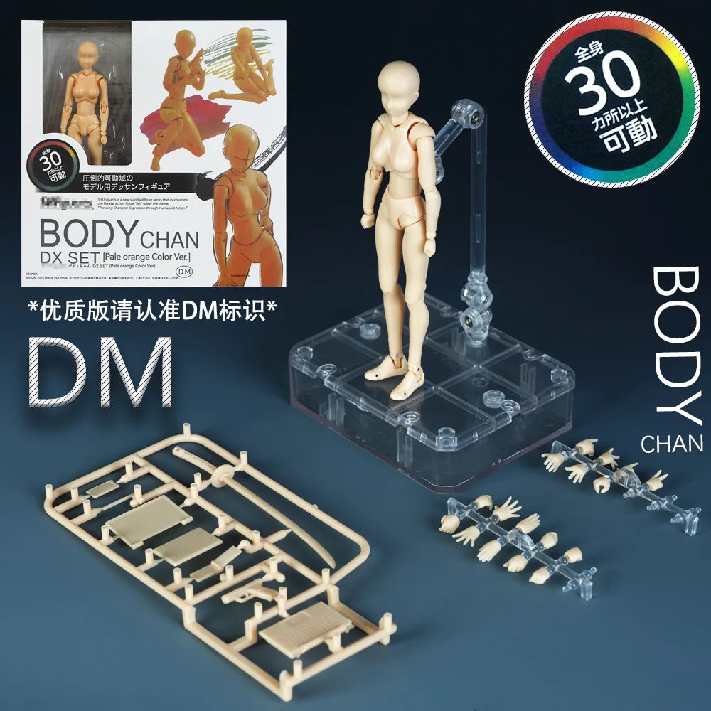 Sketch Draw Male Female Movable Body Kun Body Chan Joint Pain Anime Figure Shf Action Figure Toy Model Draw Mannequin